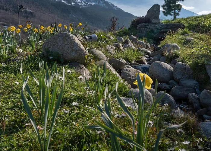 Centre Saint-lary 6 Pers, Balcon, Parking, Piscine, Sauna - Fr-1-296-416 Appartement *