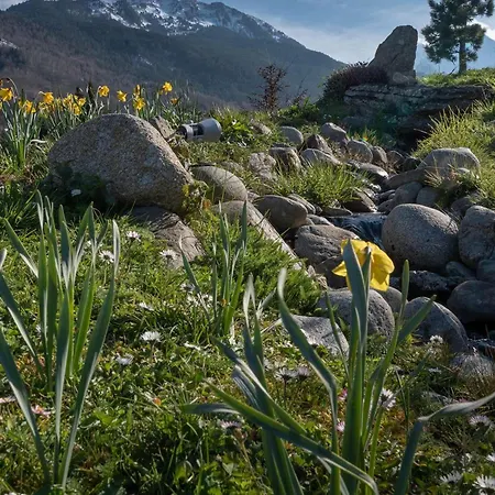 Au Coeur De Avec Piscine Et Parking - Fr-1-296-416 Apartament *